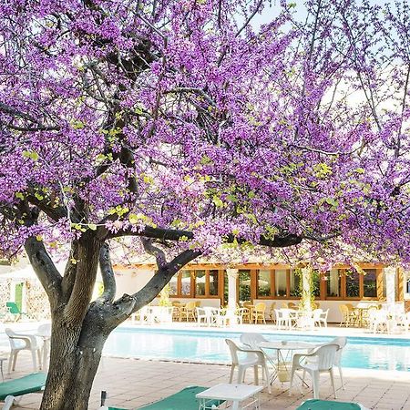 Hotel Gaya Peguera Dış mekan fotoğraf