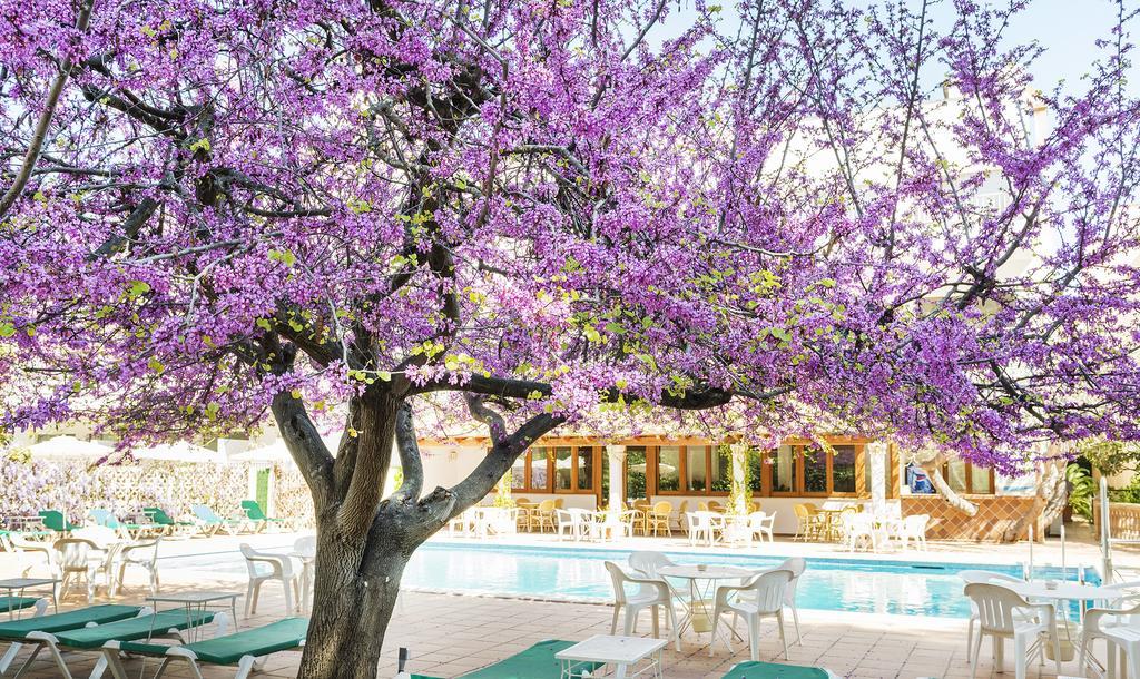 Hotel Gaya Peguera Dış mekan fotoğraf